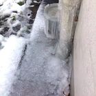 Eiszeit...ig in meinem Stadtgarten....