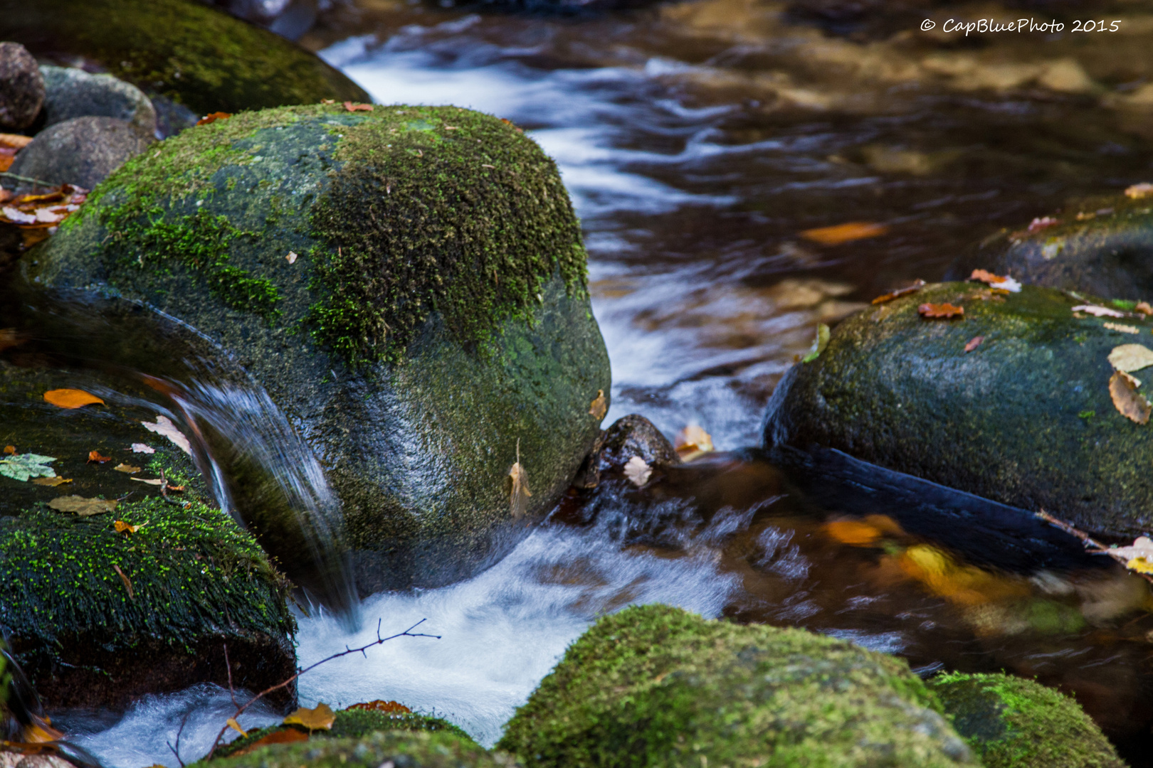 Eiszeitliche Findlinge mit Moos bedeckt