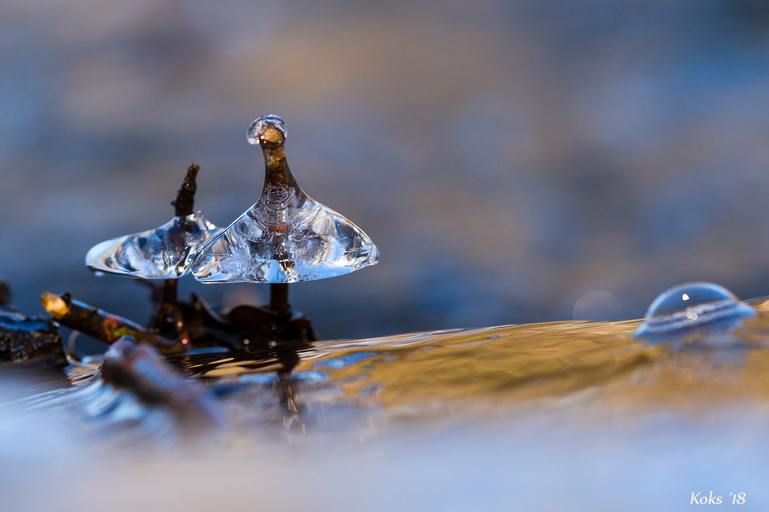 Eiszipfelmützen