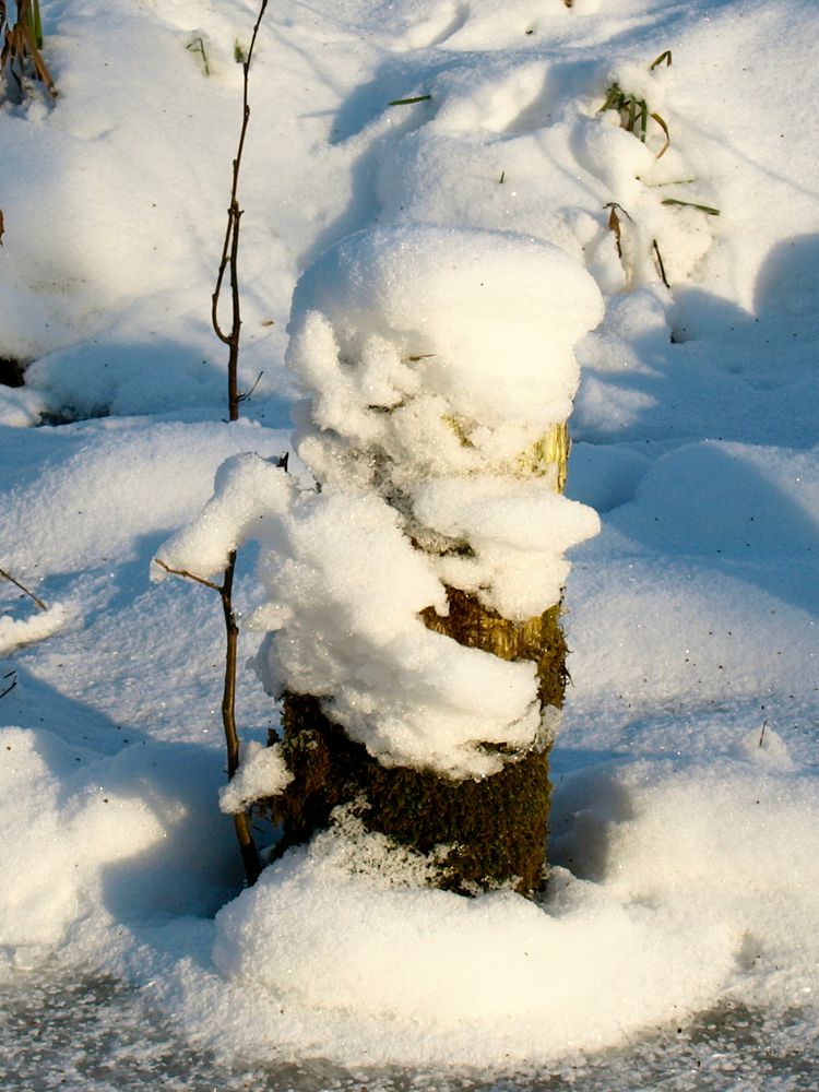 Eiszwerg von amey 