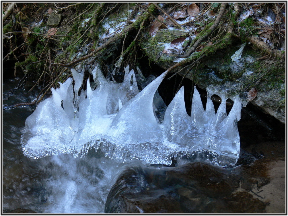 Eiszwerge......