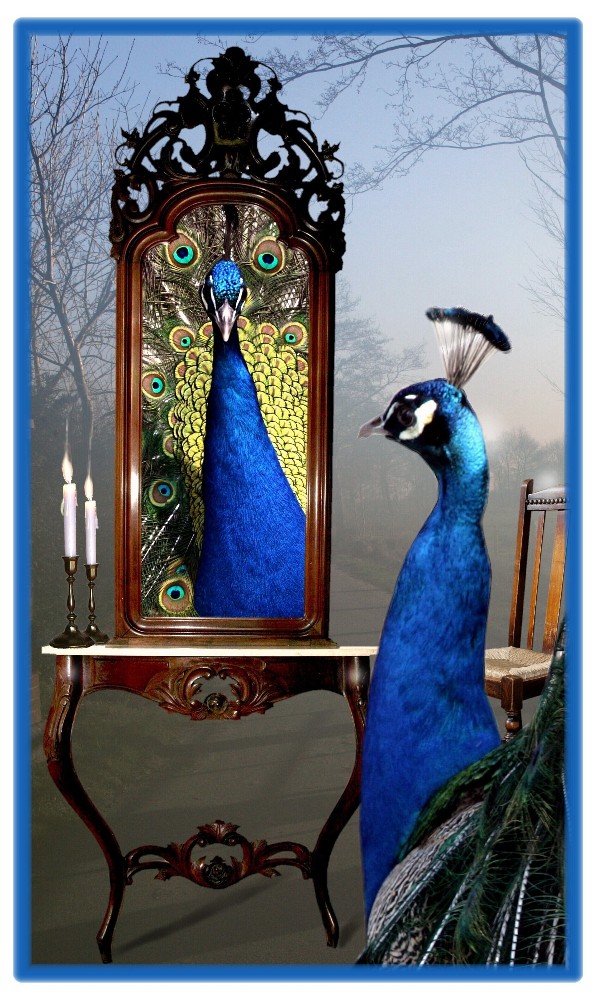 Eitelkeit Foto & Bild fotomontage, fantasy mystery, welten Bilder auf