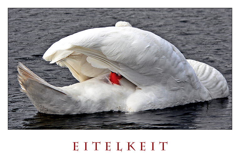 Eitelkeit