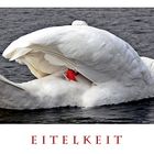 Eitelkeit