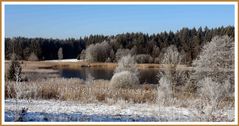 Eitzenberger-Weiher,