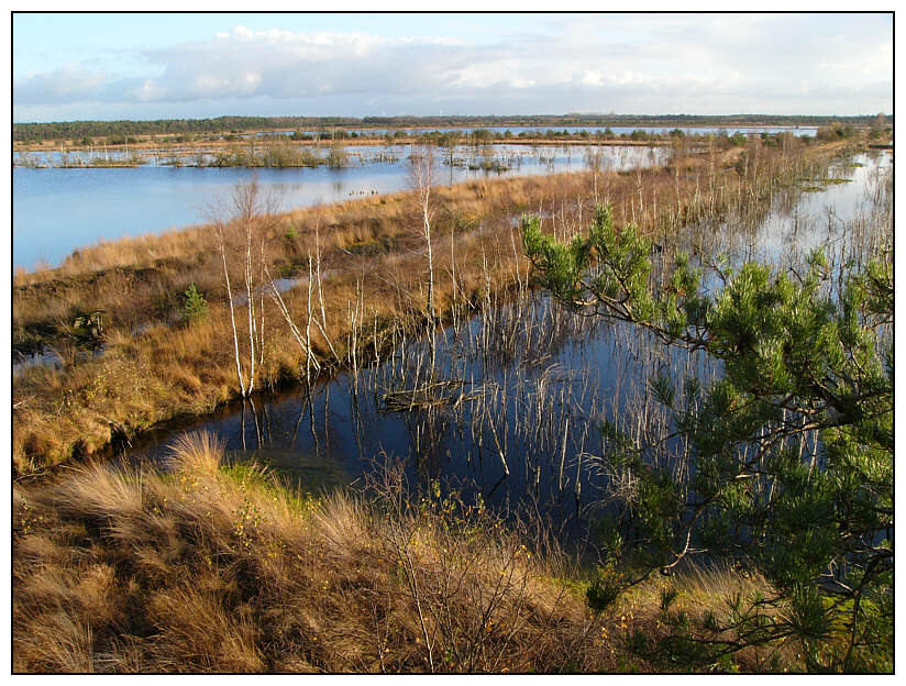 Ekel-Moor bei Sittensen