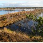 Ekel-Moor bei Sittensen