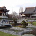 EKO- Haus der japanischen Kultur