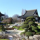 Eko-Haus der japanischen Kultur in Düsseldorf (2)