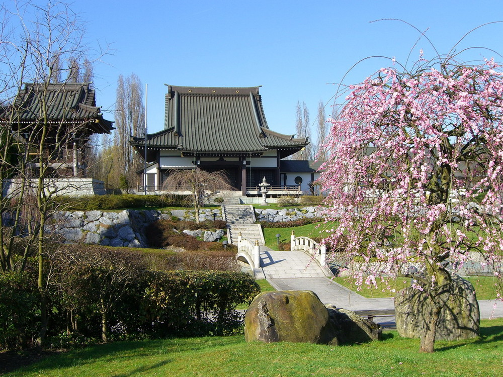 Eko-Haus der japanischen Kultur in Düsseldorf