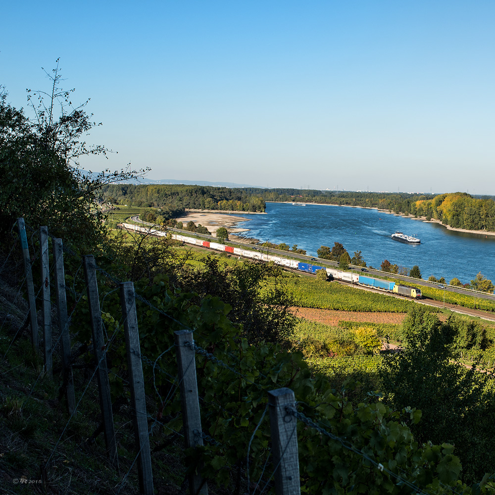 EKOL am Rhein