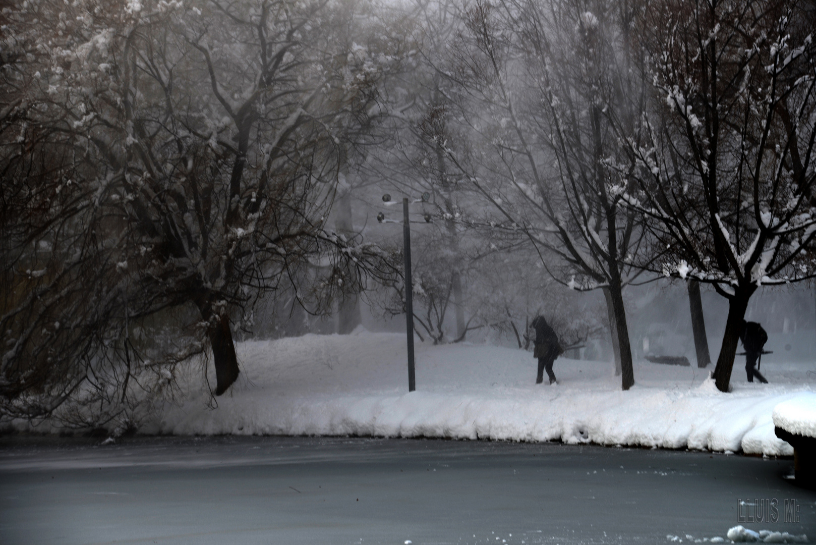 EL ABOMINABLE HOMBRE DE LAS NIEVES. 