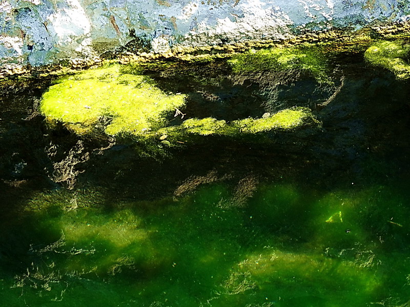 El Agua del Estanque