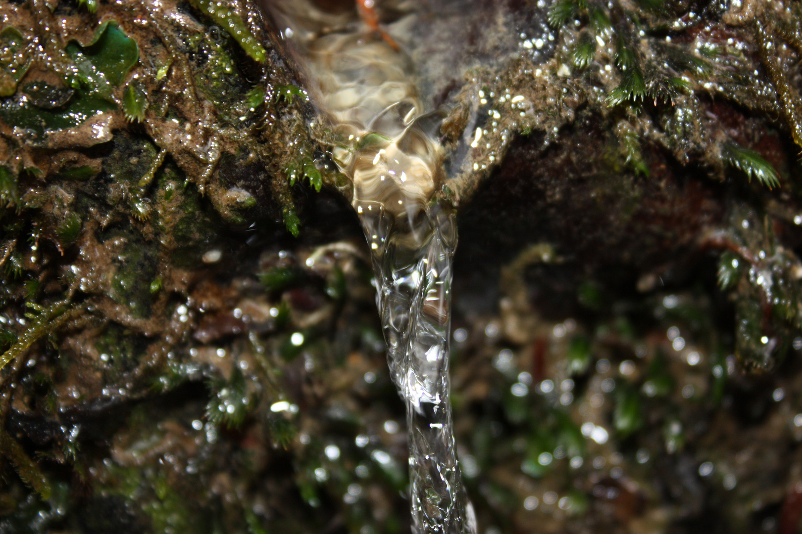 El agua en la naturaleza