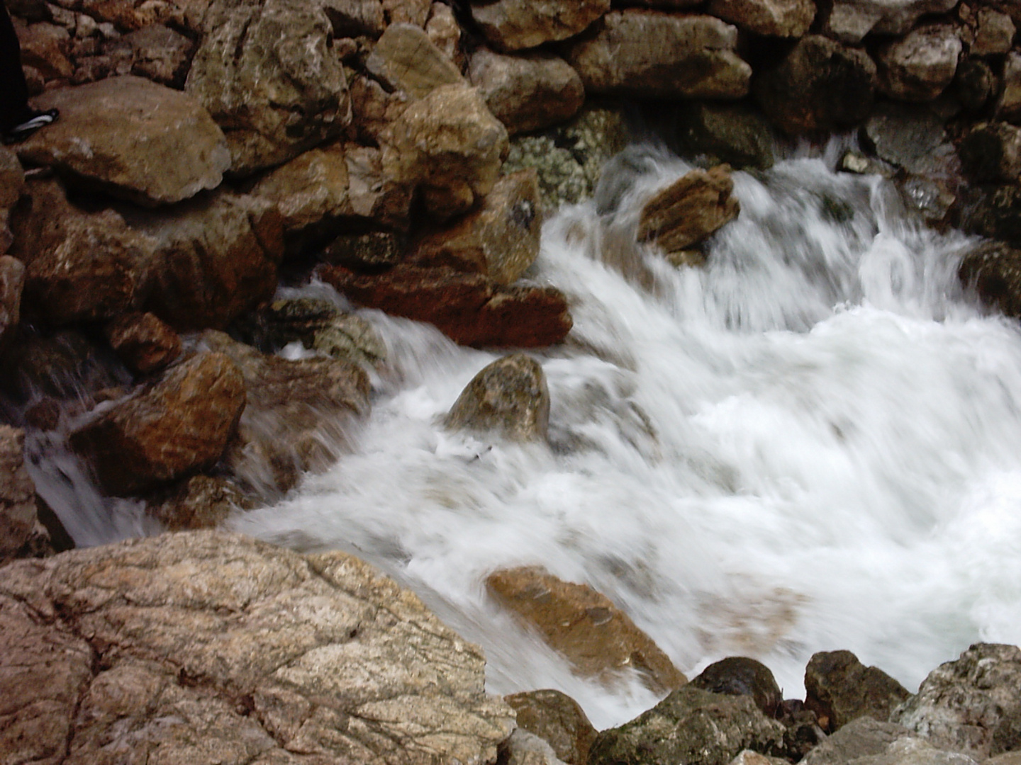 el agua es vida