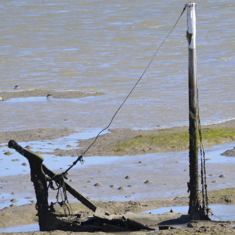 el agua y la sal