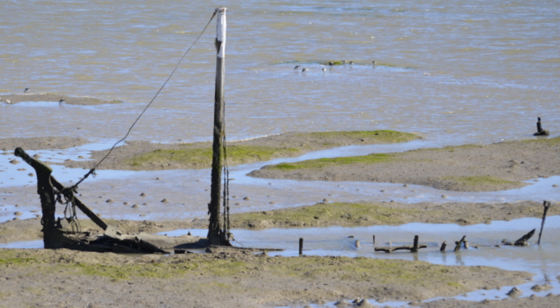 el agua y la sal