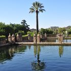 El Alcázar de los Reyes Cristianos, Córdoba