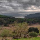 EL ALMA ABIERTA AL PAISAJE (Dedicada a Antonio Monléon)