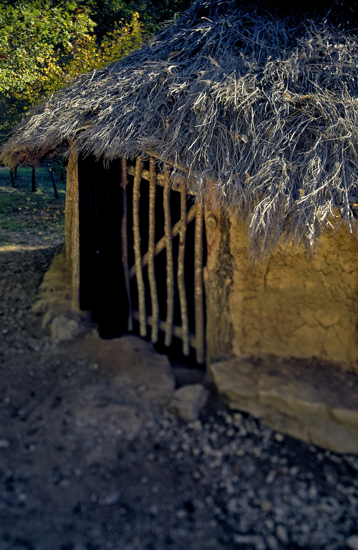 El Almacén del Bosque