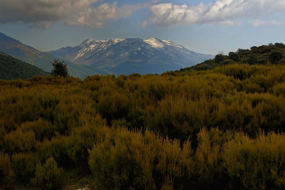 El altiplano