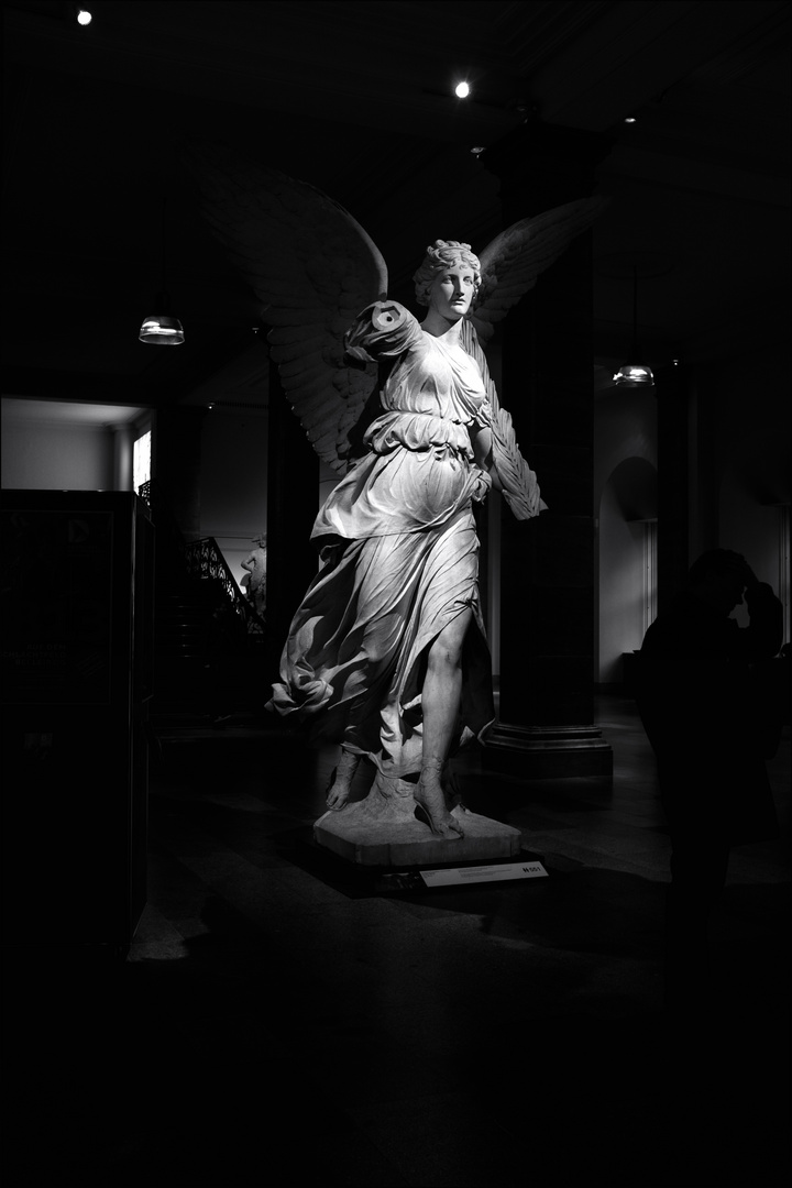 EL ANGEL DEL MUSEO.