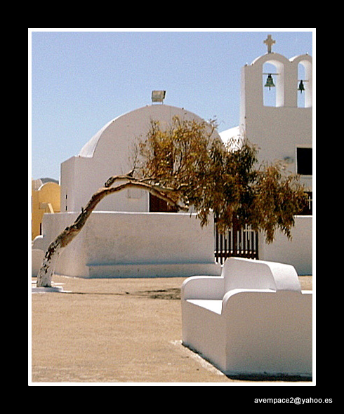 el àrbol