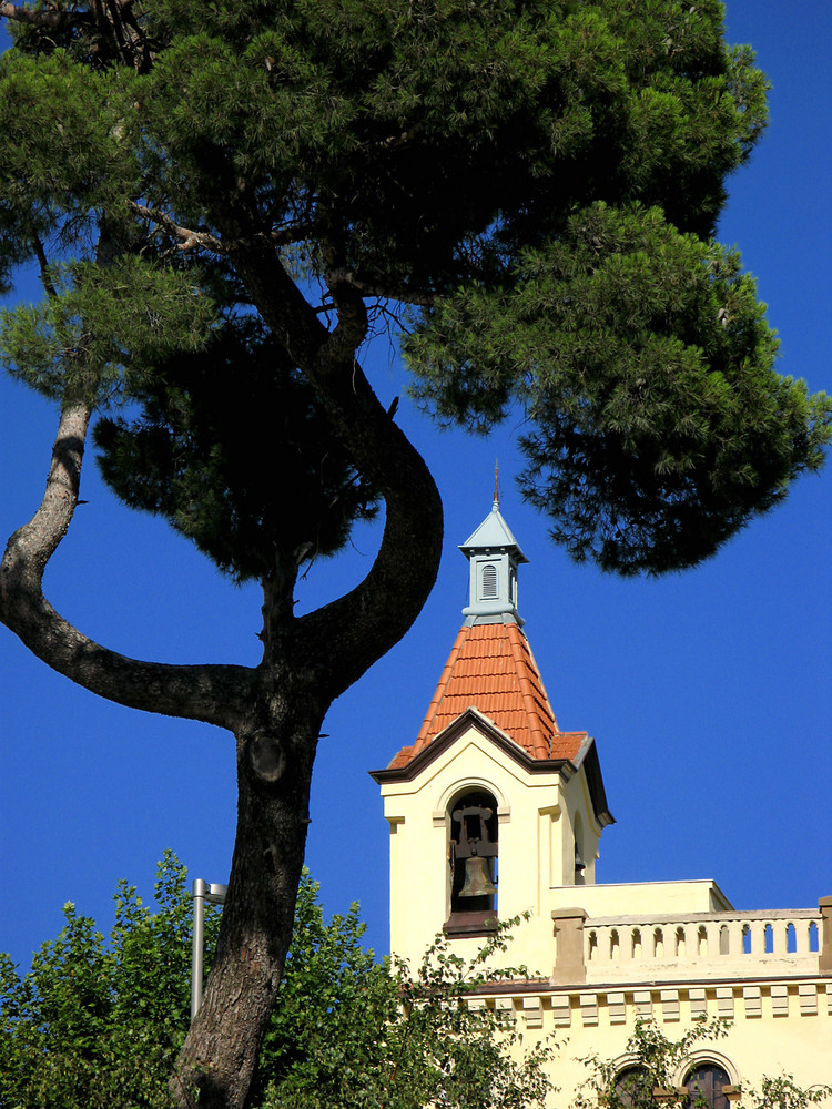 El árbol bonito