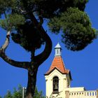 El árbol bonito