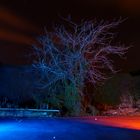 El árbol de la noche