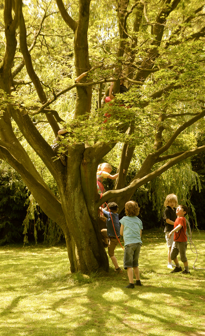 "El árbol de la vida"