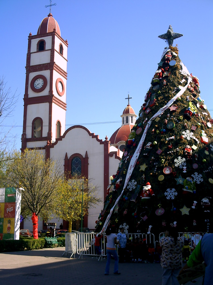 El árbol de mi ciudad de sabrik 