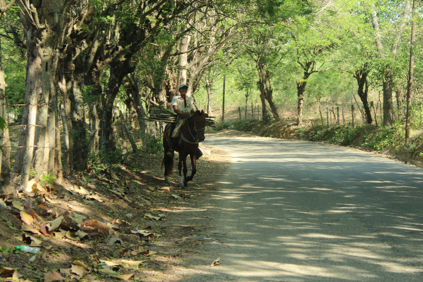 El Arriero