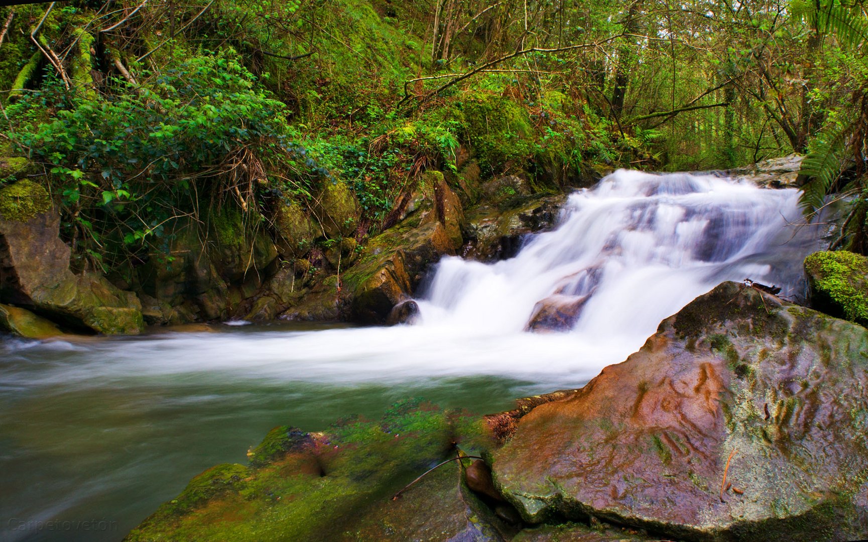 El arroyo de Callejamala