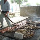 el asadito de fin de año en el rodeo  Argentina