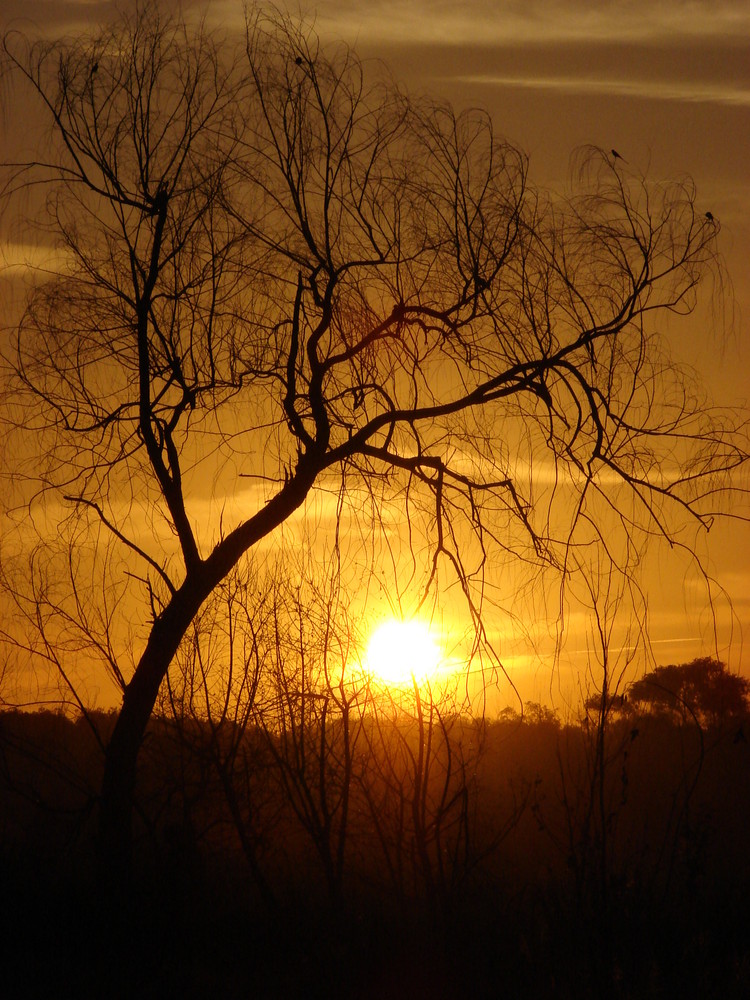 - EL ATARDECER -