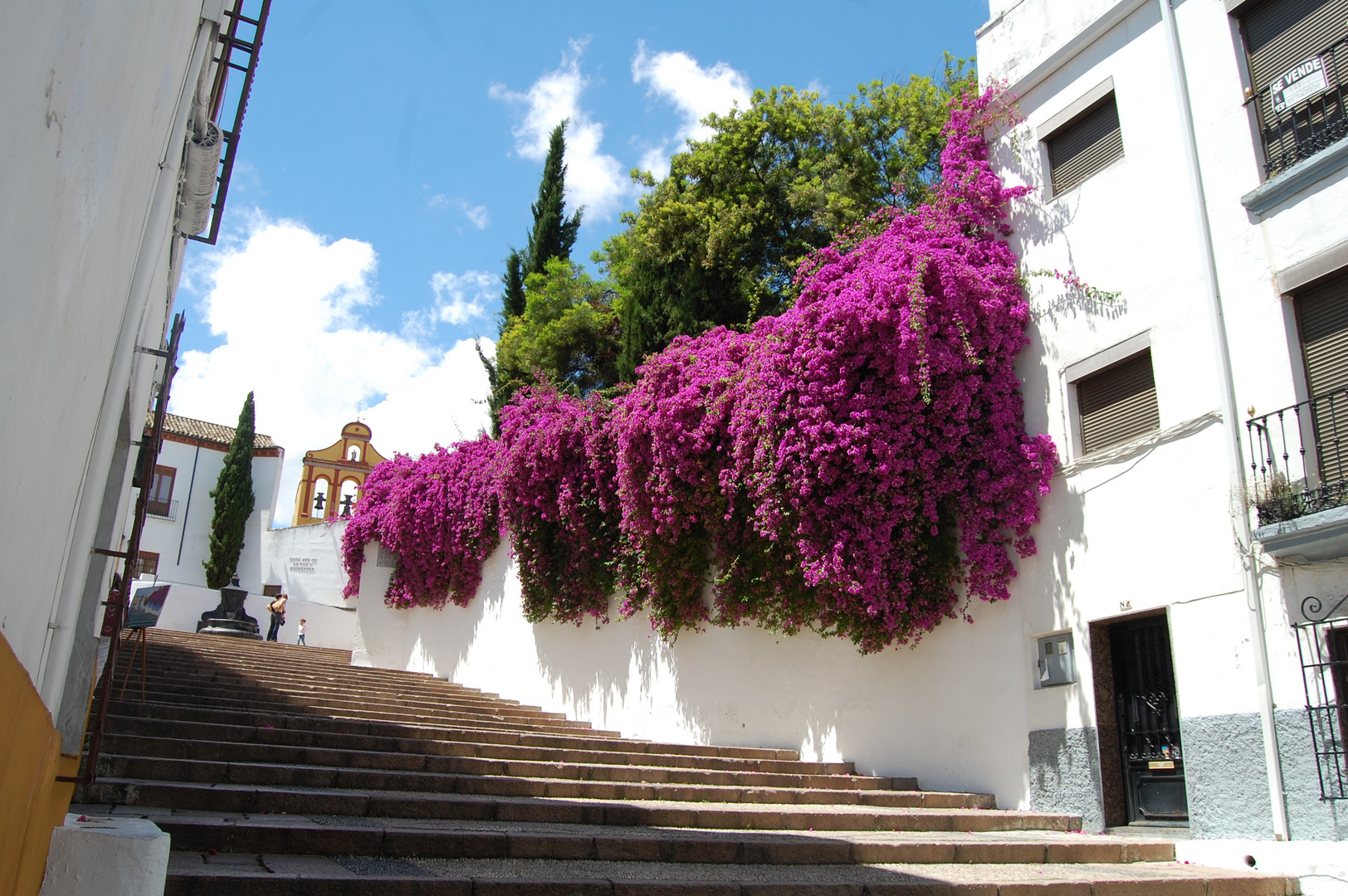 el bailio en Primavera