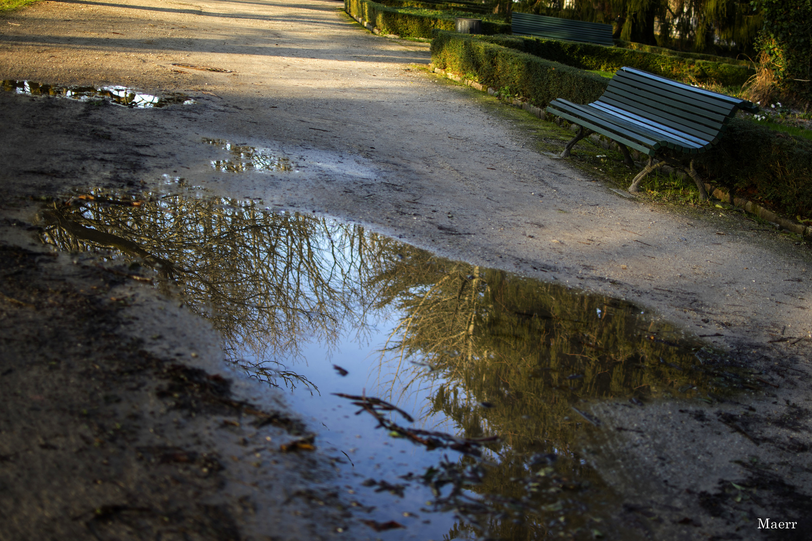 El banco y el charco