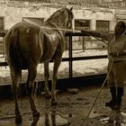 ...el baño de "cariñoso"...