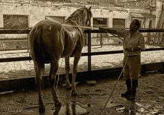 ...el baño de "cariñoso"...