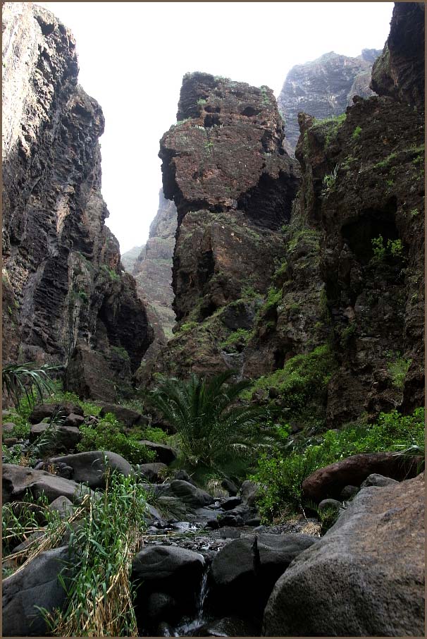 El Barranco de Masca - die Masca-Schlucht (F11 drücken!)