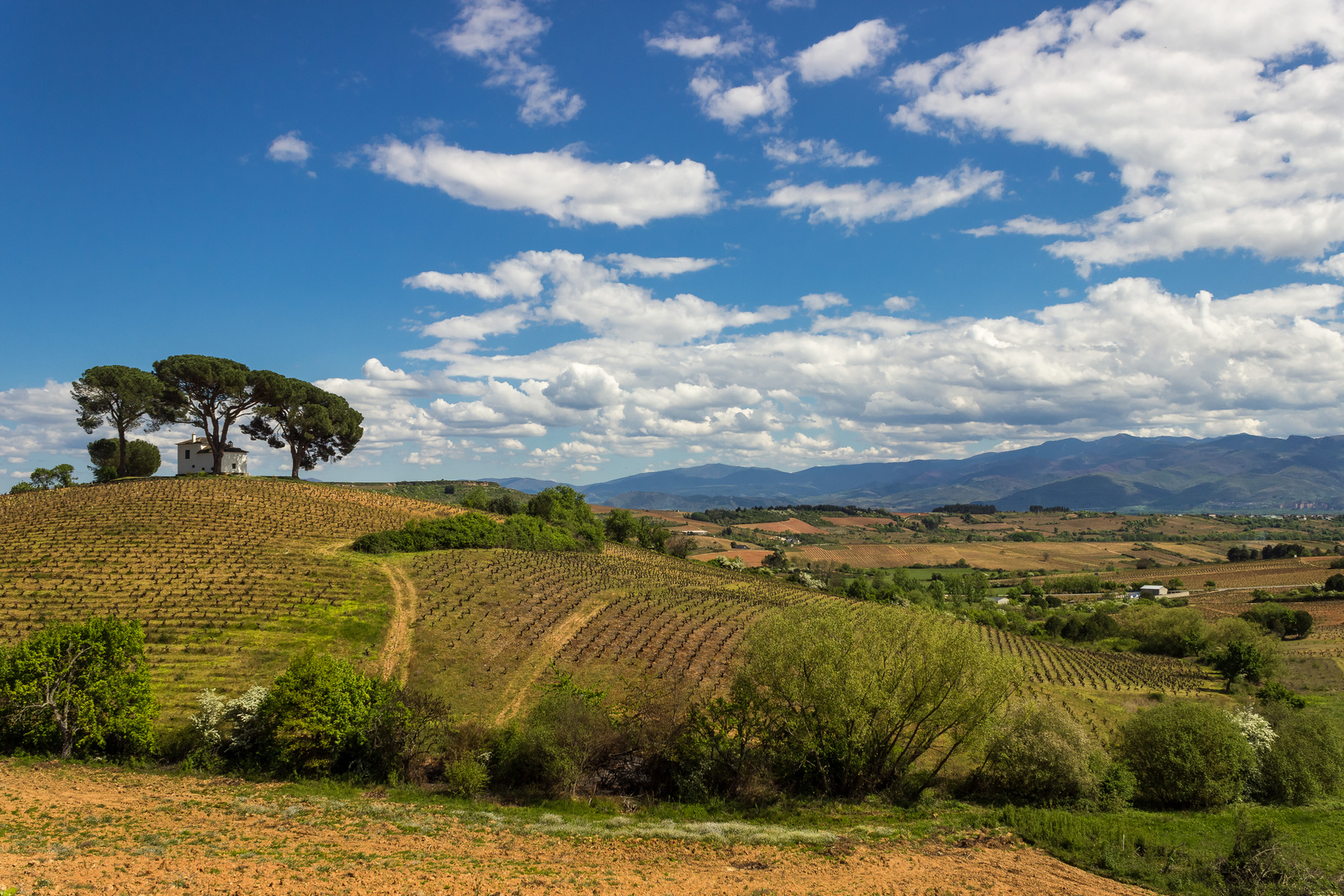 El Bierzo