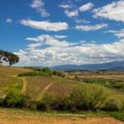 El Bierzo