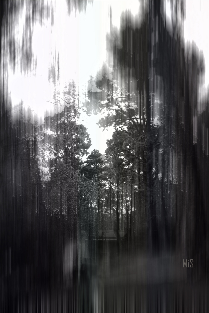 El bosque 