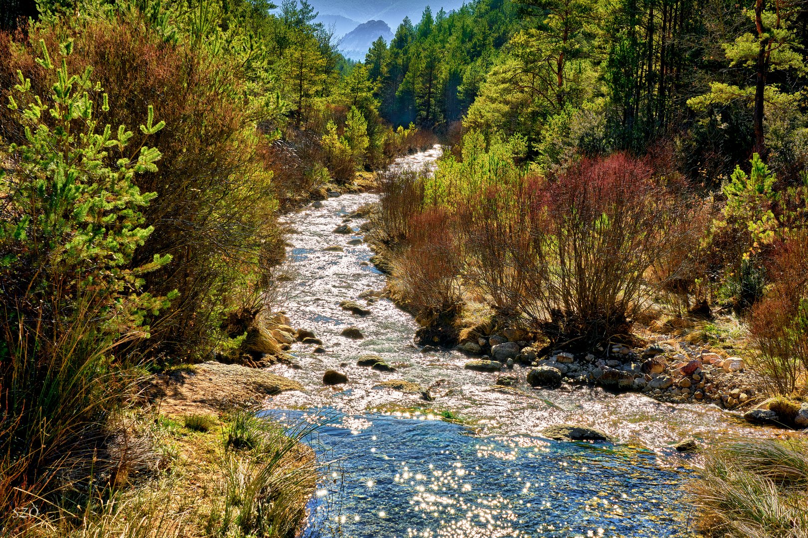 El Bosque Cortado-cm-3833