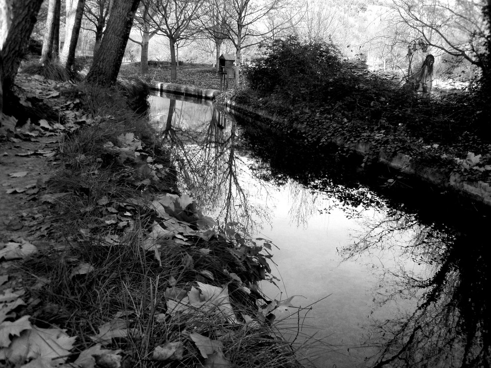 El Bosque de las Hadas