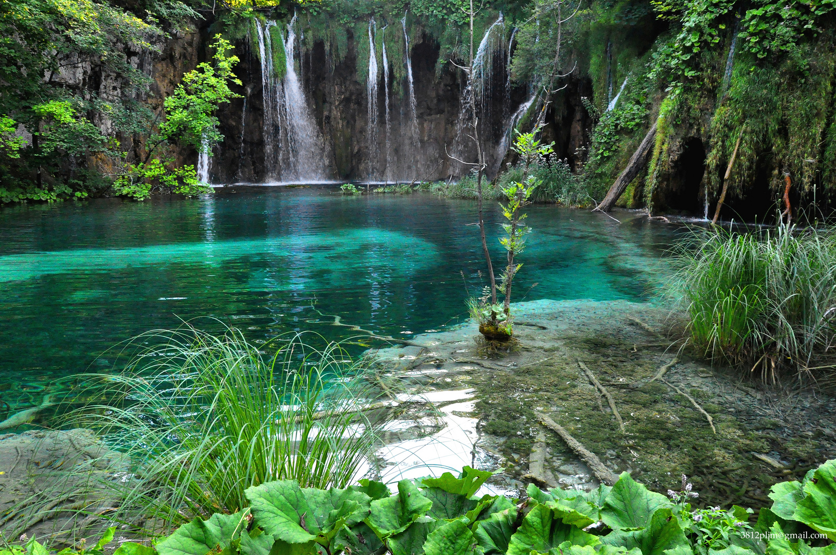 El Bosque de las Hadas Imagen & Foto paisajes, bosques, paisajes naturales Fotos de El Bosque de las Hadas Imagen & Foto paisajes, bosques, paisajes naturales Fotos de