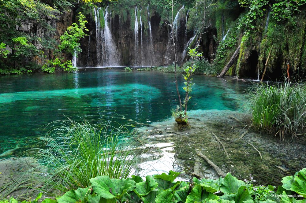 El Bosque de las Hadas