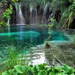 El Bosque de las Hadas