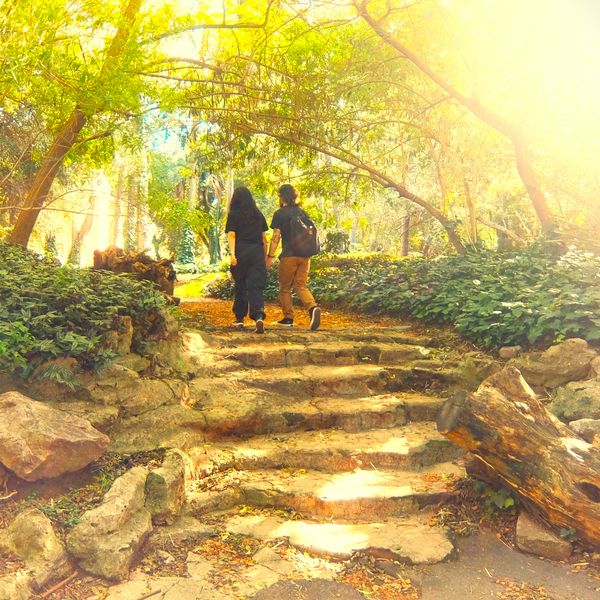 EL BOTANICO,CON LUZ PROPIA